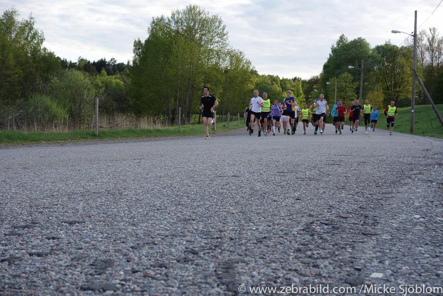 16 maj 2013